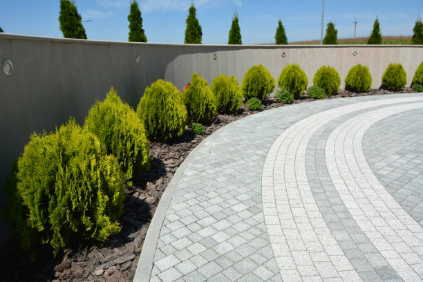 Best Driveway Paver Sealing  in Hillsboro, TX